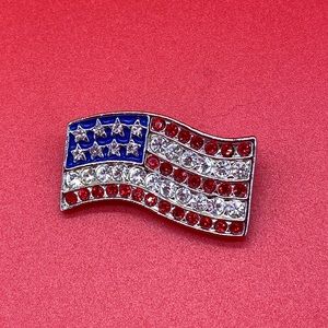 🛍American flag pin